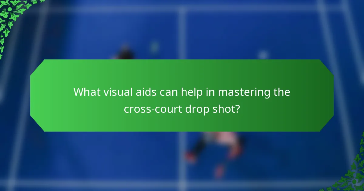 What visual aids can help in mastering the cross-court drop shot?